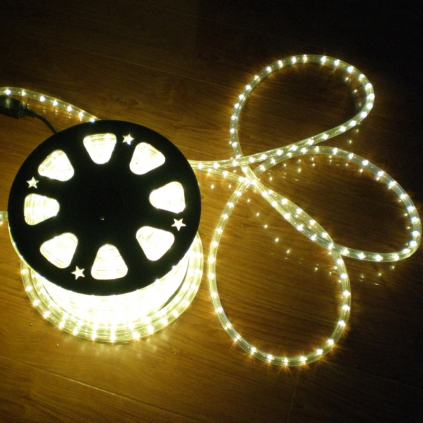 13mm LED round 2 wire Rope Light