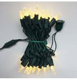 M5 LED Christmas Lights