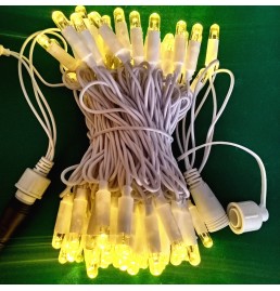 Outdoor Christmas Lights  Outdoor Christmas Lights