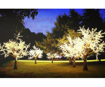 LED Cherry Blossom Tree Lights