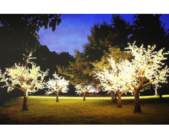LED Lighted Tree